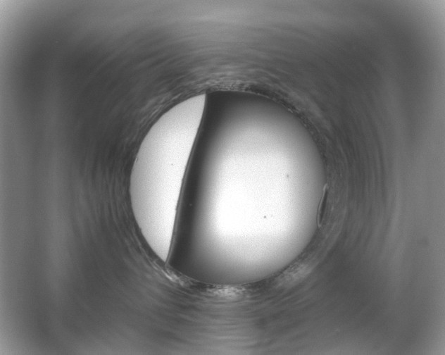 X0000066080432200603100942