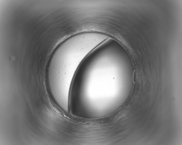 X0000066080434200603100941