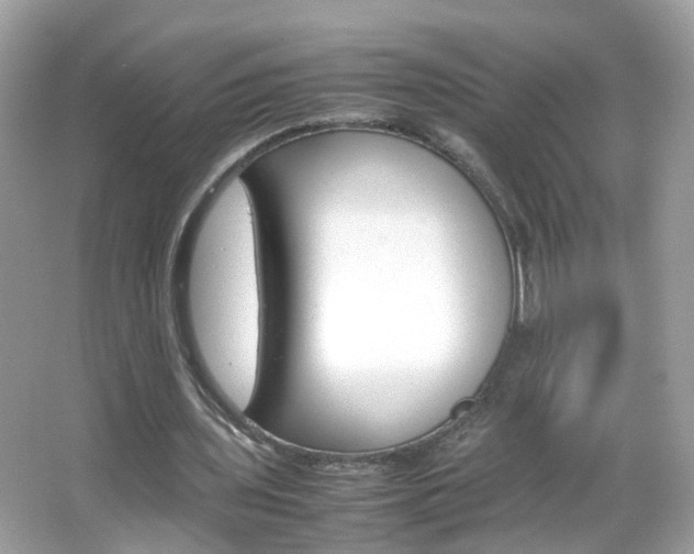 X0000066080435200603100941