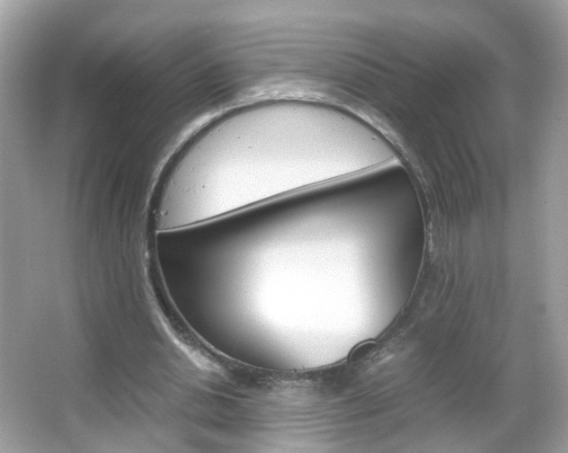 X0000066080438200603100941
