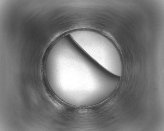 X0000066080439200603100941