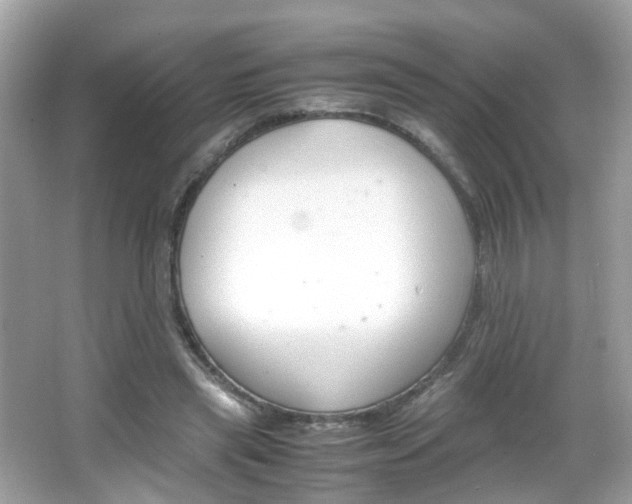 X0000066080445200603100941