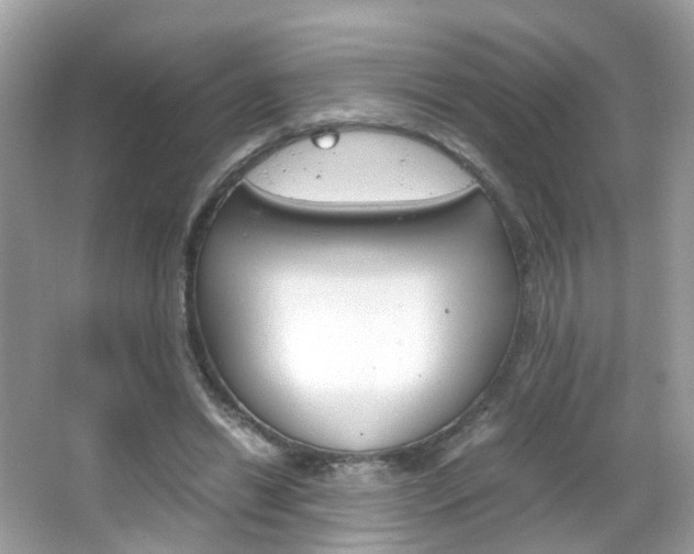 X0000066080446200603100941