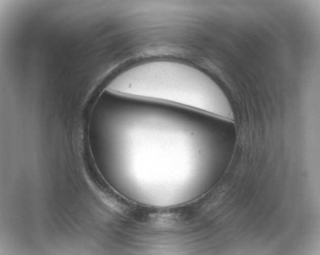 X0000066080448200603100941