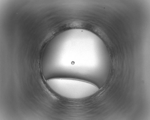 X0000066080449200603100941