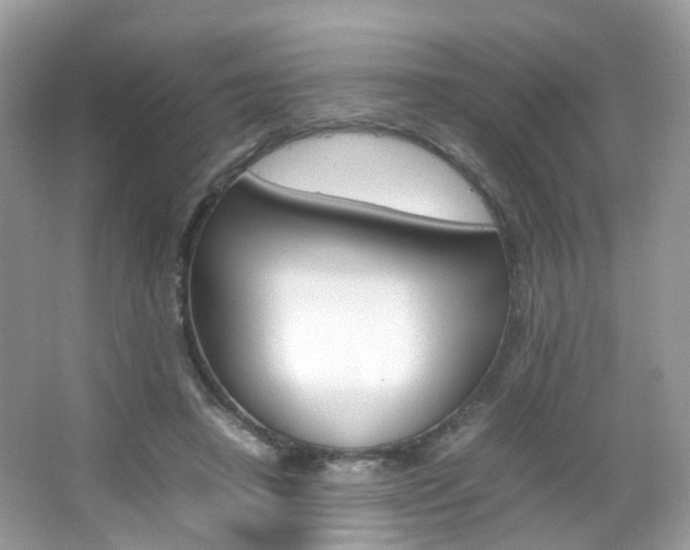X0000066080450200603100941