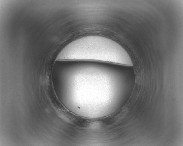 X0000066080456200603100941