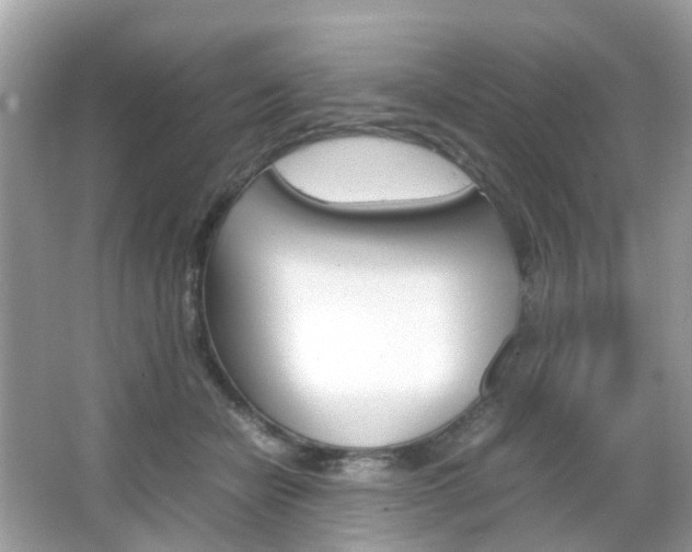 X0000066080462200603100942