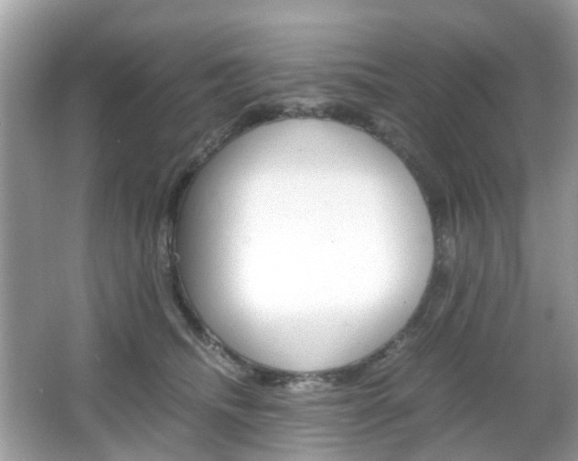 X0000066080468200603100942