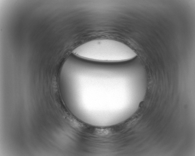 X0000066080469200603100942