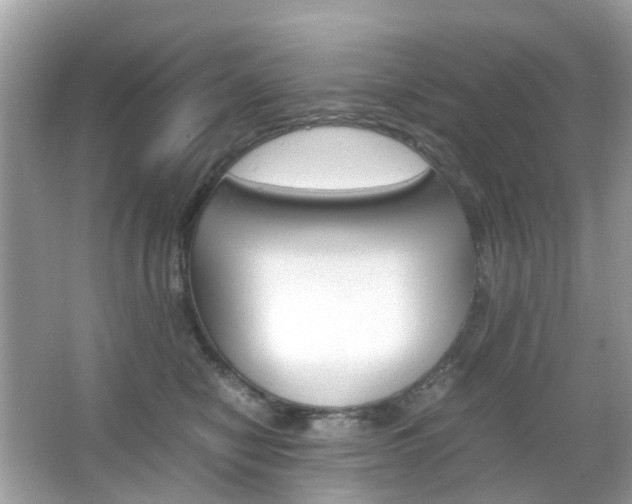 X0000066080470200603100942