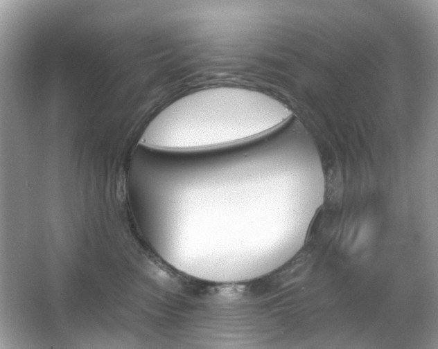 X0000066080474200603100942