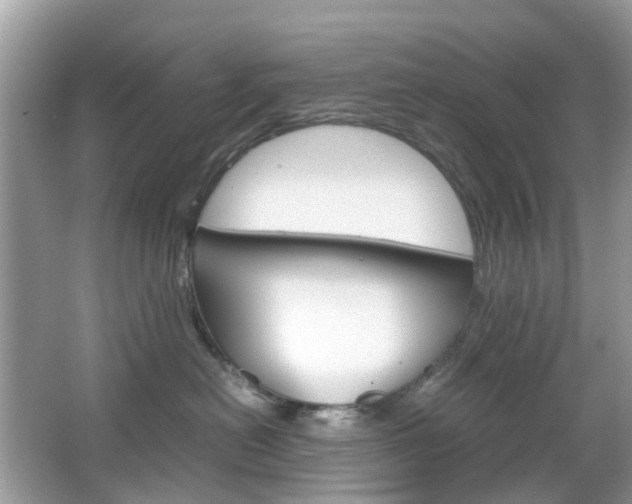 X0000066080478200603100942