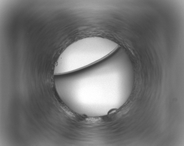 X0000066080480200603100942