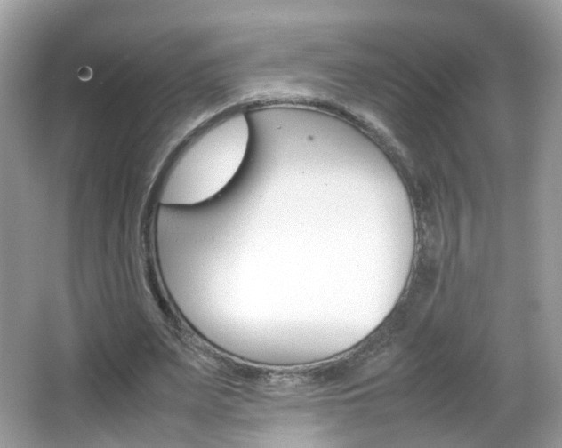 X0000066080487200603100941