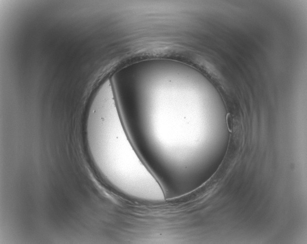 X0000066080493200603100941