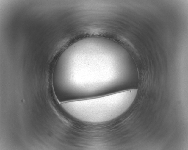 X0000066080496200603100941