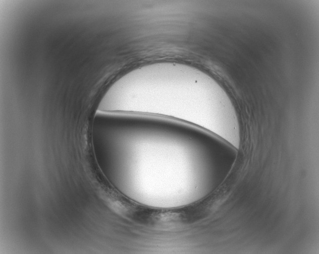 X0000066080501200603100941