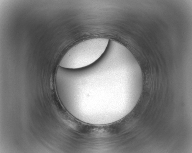 X0000066080502200603100941