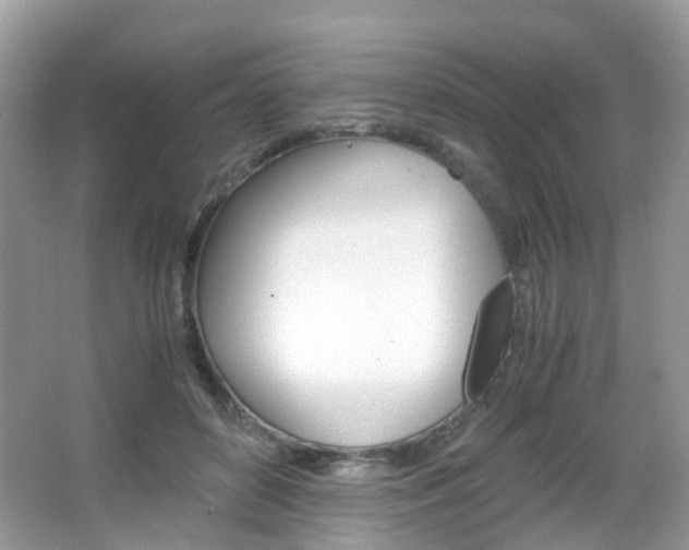 X0000066080504200603100941