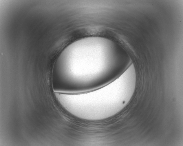 X0000066080505200603100941