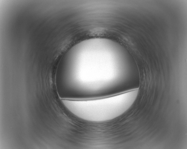 X0000066080508200603100941