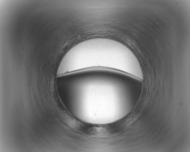 X0000066080509200603100941