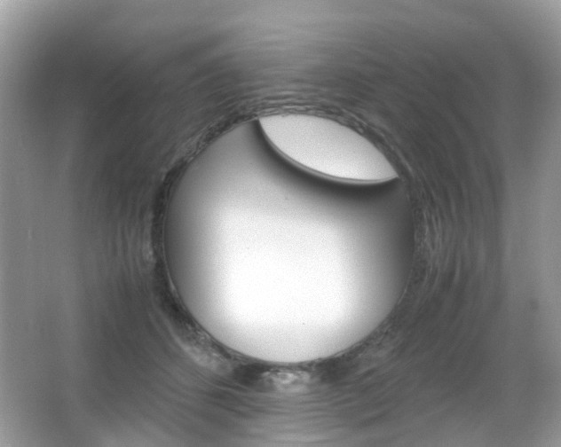X0000066080512200603100941