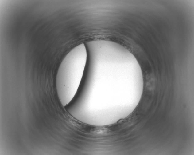 X0000066080514200603100941