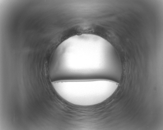 X0000066080515200603100940