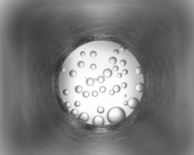 X0000066080519200603100940