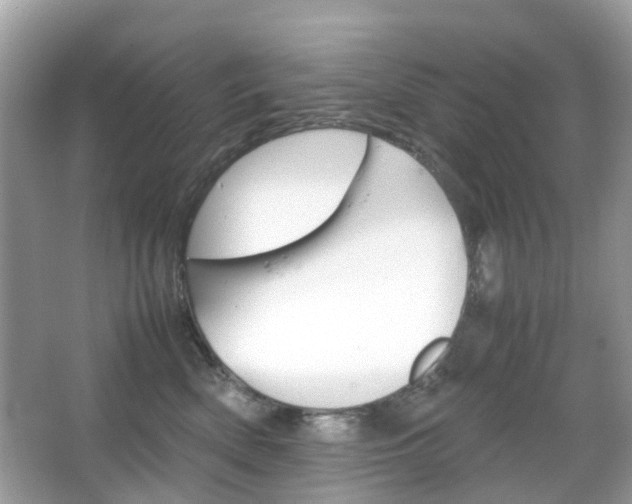 X0000066080522200603100940