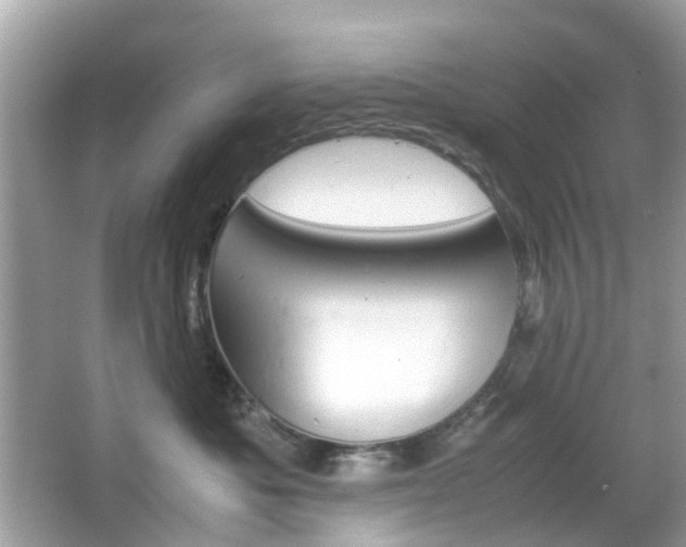 X0000066080525200603100940