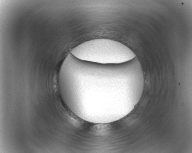 X0000066080526200603100940