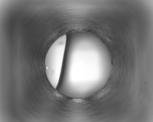 X0000066080528200603100940