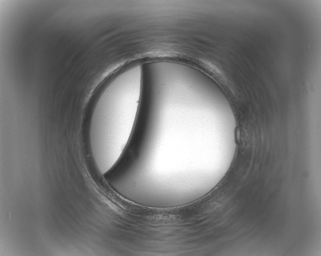 X0000066080535200603100940