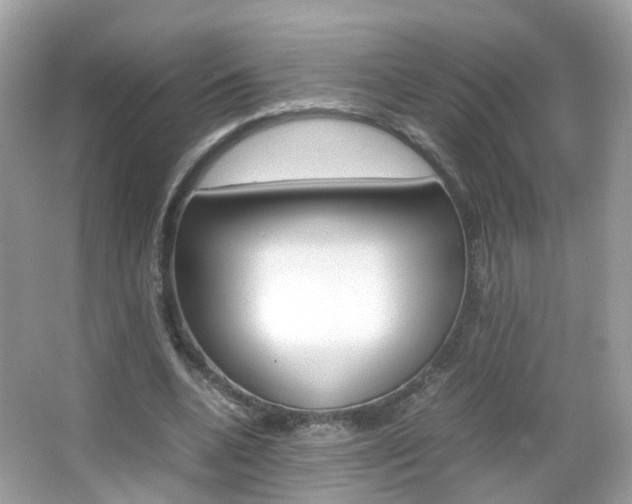 X0000066080536200603100940