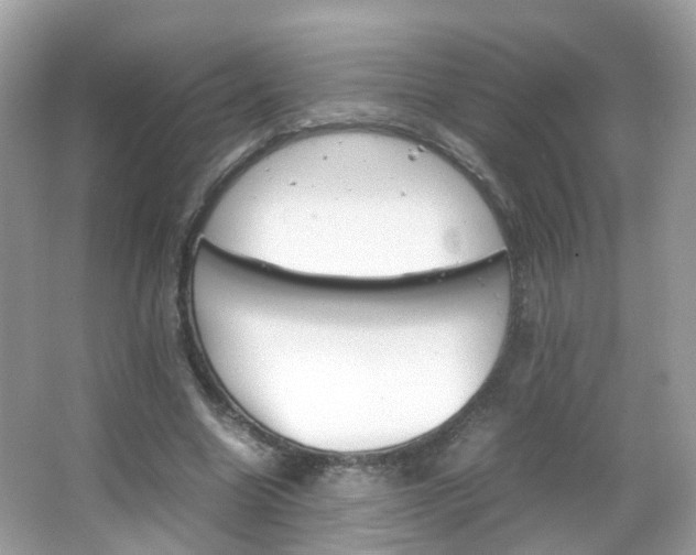 X0000066080538200603100940