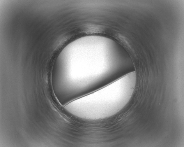 X0000066080539200603100940