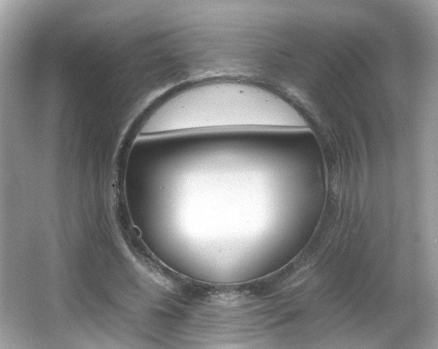 X0000066080540200603100940