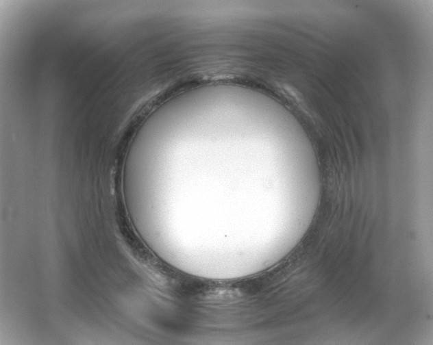 X0000066080543200603100940