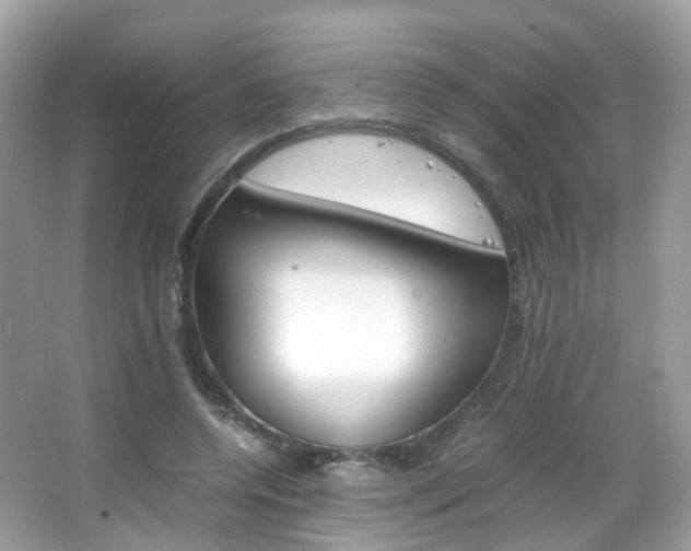 X0000066080544200603100940