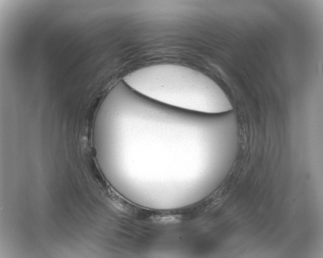 X0000066080553200603100940