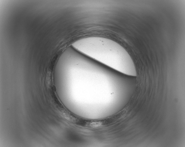 X0000066080554200603100940