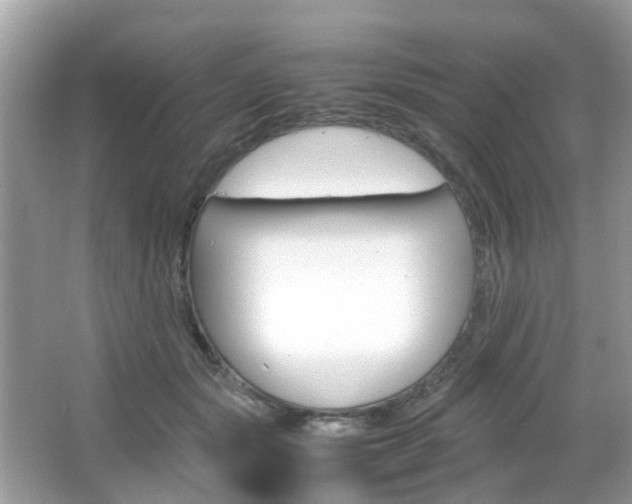 X0000066080557200603100940