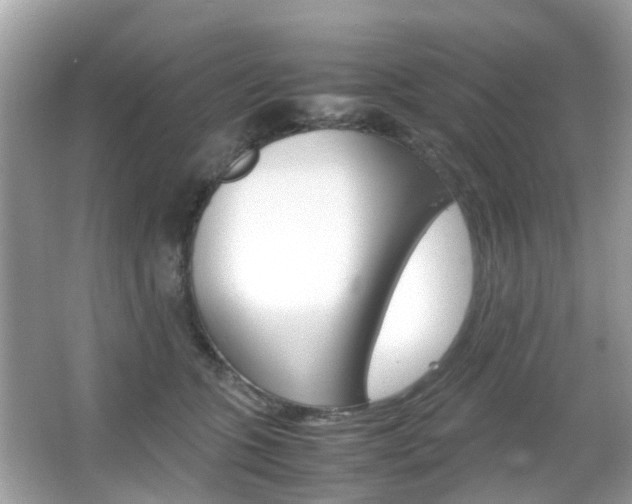 X0000066080563200603100940
