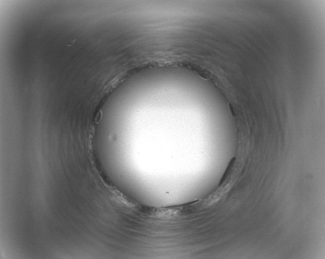 X0000066080576200603100940