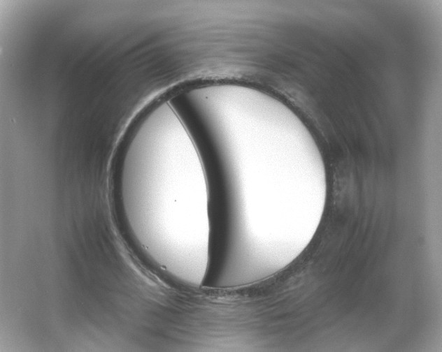X0000066080584200603100939