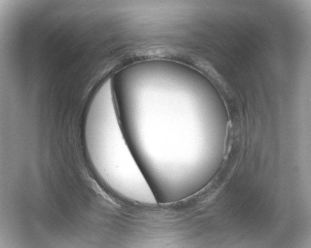 X0000066080585200603100939