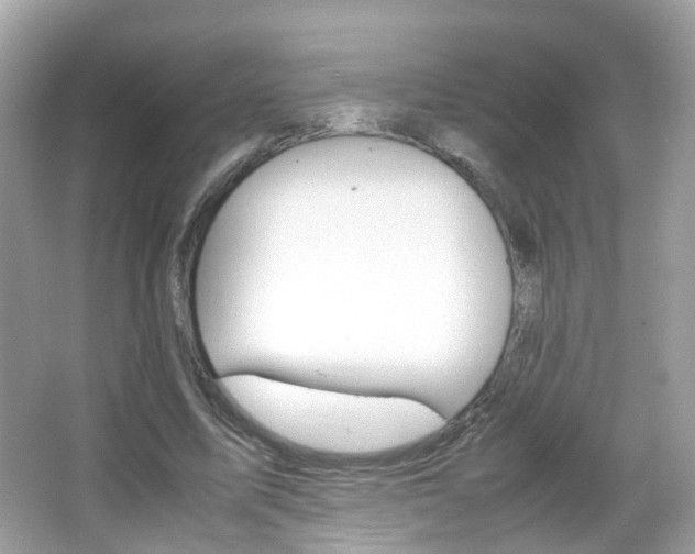 X0000066080587200603100939